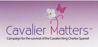 Cavalier Matters