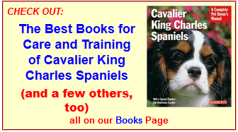 Best Books About Cavaliers