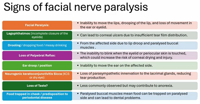 Signs of facial nerve paralysis