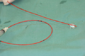fogarty catheter spaniels aortic cavalierhealth