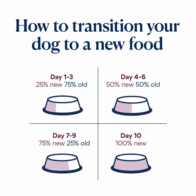 Transition to new food